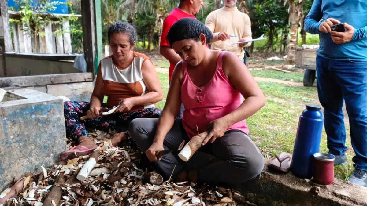 Mâncio Lima: mais de 980 horas de mecanização agrícola já beneficiam 300 famílias Mâncio Lima: mais de 980 horas de mecanização agrícola já beneficiam 300 famílias