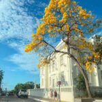 Governo do Acre prevê ajustes de gastos e exonerações pontuais a partir de novembro