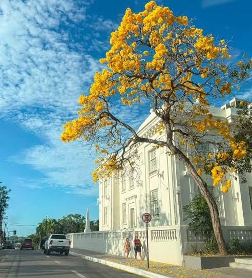 Governo do Acre prevê ajustes de gastos e exonerações pontuais a partir de novembro Governo do Acre prevê ajustes de gastos e exonerações pontuais a partir de novembro