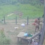 Em Jordão, moradores registram suposto contato com indígenas em isolamento