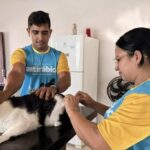 Mais de 12 mil animais já foram vacinados contra a raiva em Cruzeiro do Sul