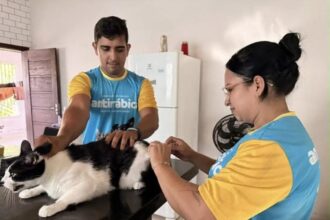 Mais de 12 mil animais já foram vacinados contra a raiva em Cruzeiro do Sul Mais de 12 mil animais já foram vacinados contra a raiva em Cruzeiro do Sul
