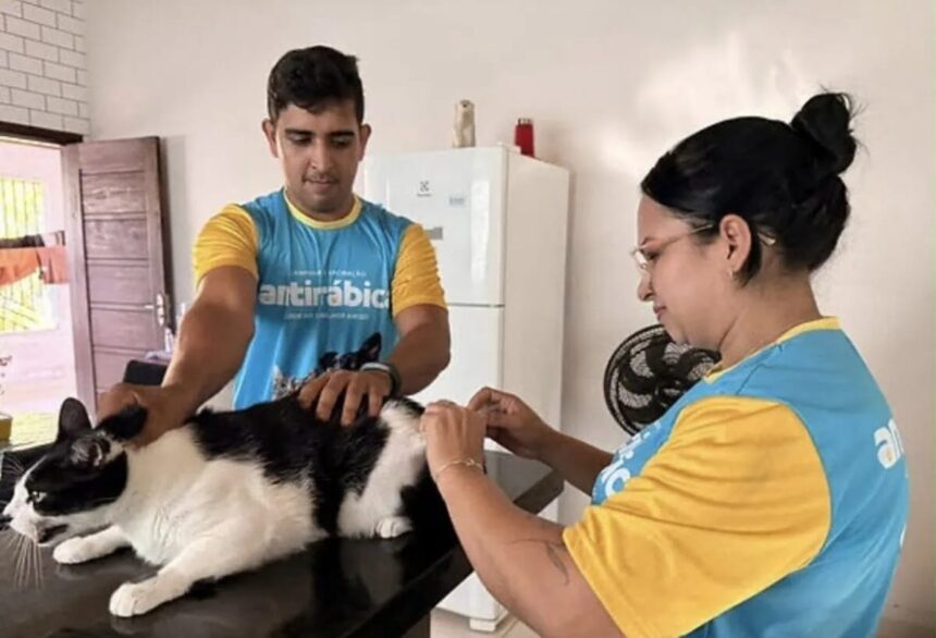 Mais de 12 mil animais já foram vacinados contra a raiva em Cruzeiro do Sul