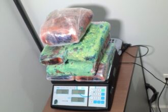 Com ajuda de cão farejador, PMAC apreende droga escondida em sacos de farinha em Rio Branco