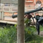 Homem é flagrado carregando poste nas costas pelo centro de Rio Branco