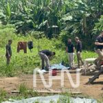 Idoso de 77 anos morre eletrocutado enquanto transportava madeira em área rural de Rio Branco Idoso de 77 anos morre eletrocutado enquanto transportava madeira em área rural de Rio Branco