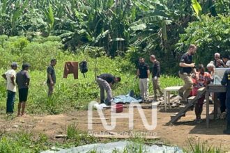 Idoso de 77 anos morre eletrocutado enquanto transportava madeira em área rural de Rio Branco