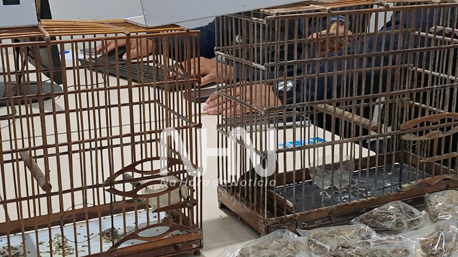Ação da Força Tática e ROTAM termina com dois presos e 30 invólucros de skank apreendidos em Rio Branco