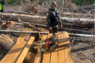 PMAC apreende serraria móvel, motosserras e 32 m³ de madeira durante operação ambiental no Bujari PMAC apreende serraria móvel, motosserras e 32 m³ de madeira durante operação ambiental no Bujari