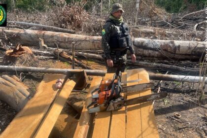PMAC apreende serraria móvel, motosserras e 32 m³ de madeira durante operação ambiental no Bujari PMAC apreende serraria móvel, motosserras e 32 m³ de madeira durante operação ambiental no Bujari