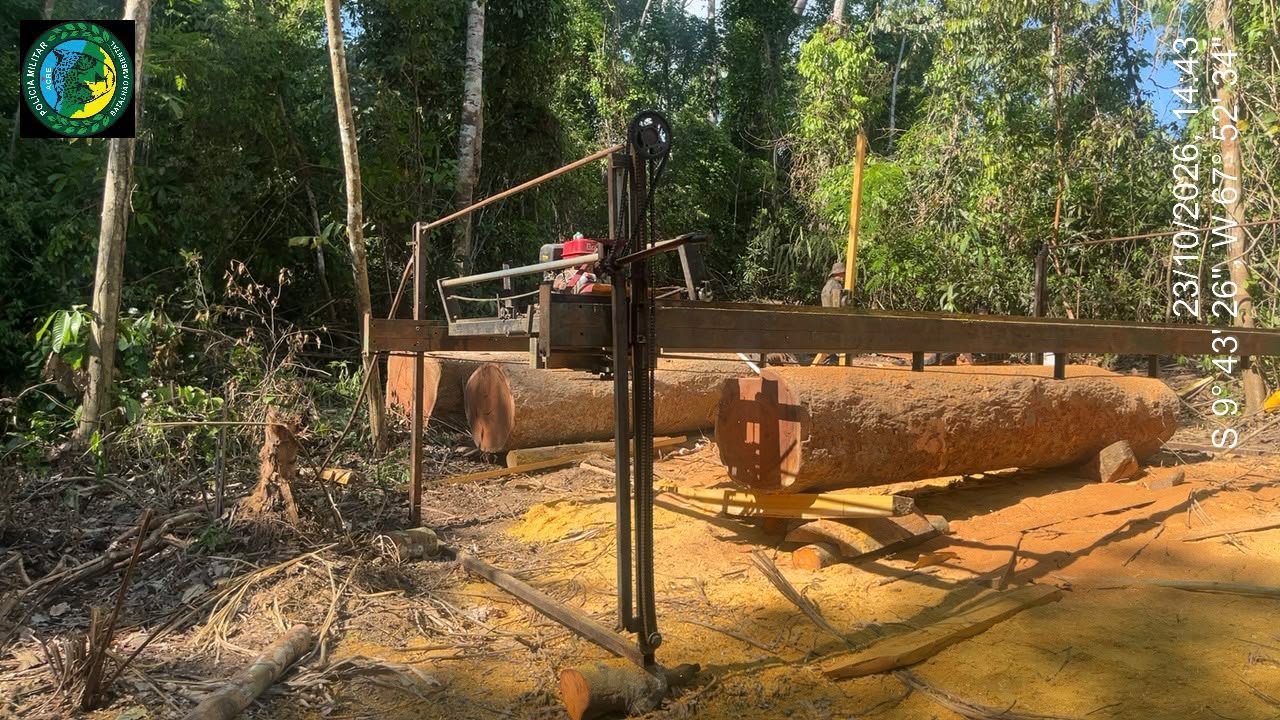 PMAC apreende serraria móvel, motosserras e 32 m³ de madeira durante operação ambiental no Bujari