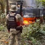 PF combate desmatamento e incêndios em operações no Acre e no Amazonas PF combate desmatamento e incêndios em operações no Acre e no Amazonas
