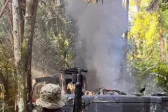 PF combate desmatamento e incêndios em operações no Acre e no Amazonas