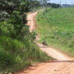 Incra abre inscrições para 15 famílias no assentamento Terra Nova