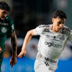 Palmeiras empata sem gols com Santos e pode ver Flamengo assumir liderança Palmeiras empata sem gols com Santos e pode ver Flamengo assumir liderança