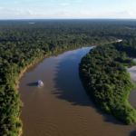 Amazônia tem menor desmatamento já registrado em quase 40 anos Amazônia tem menor desmatamento já registrado em quase 40 anos