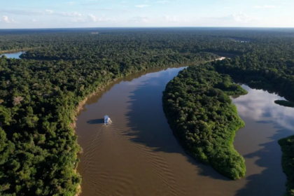 Amazônia tem menor desmatamento já registrado em quase 40 anos Amazônia tem menor desmatamento já registrado em quase 40 anos