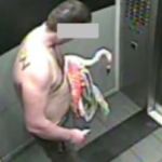 Turista bebe 40 cervejas, fica 'muito louco' em hotel de Las Vegas e é preso após sequestrar flamingo