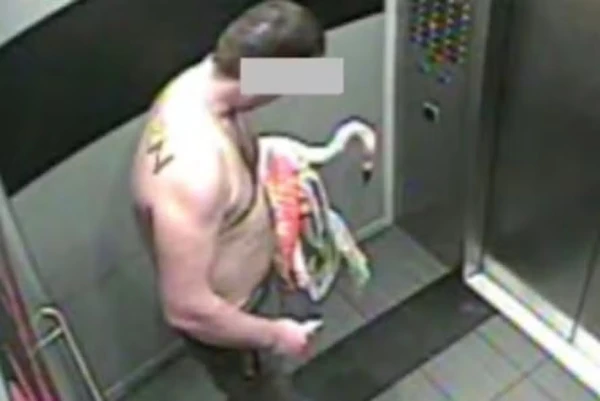 Turista bebe 40 cervejas, fica 'muito louco' em hotel de Las Vegas e é preso após sequestrar flamingo Turista bebe 40 cervejas, fica 'muito louco' em hotel de Las Vegas e é preso após sequestrar flamingo