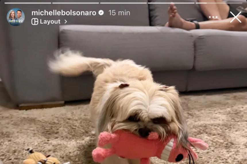 Michelle posta foto que aparece Jair Bolsonaro no sofá com tornozeleira Michelle posta foto que aparece Jair Bolsonaro no sofá com tornozeleira