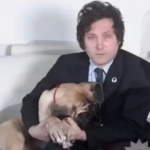 Presidente da Argentina, Javier Milei contrata veterinária médium para conversar com cachorro morto e cinco clones do animal Presidente da Argentina, Javier Milei contrata veterinária médium para conversar com cachorro morto e cinco clones do animal