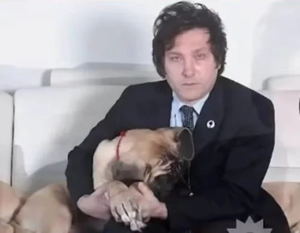 Presidente da Argentina, Javier Milei contrata veterinária médium para conversar com cachorro morto e cinco clones do animal